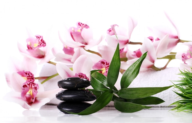 Free photo spa stones and beautiful orchid