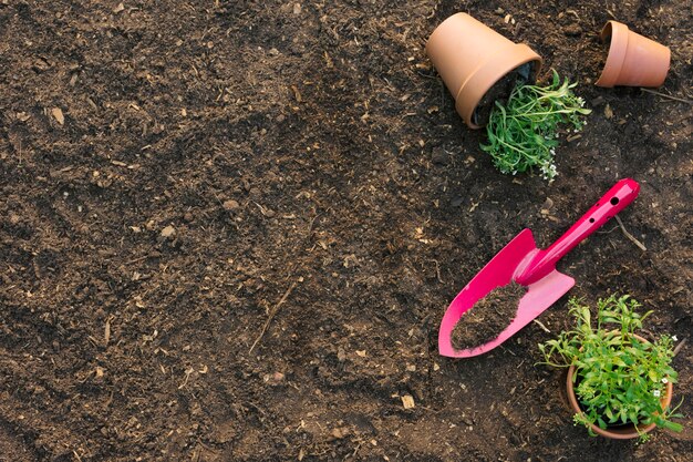 Spade with flowerpots on ground