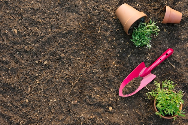 Spade with flowerpots on ground