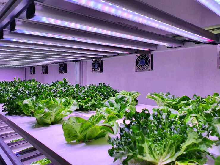 Greenhouses Led Greenhouse Grow Lights