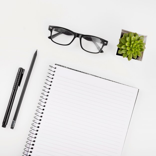 Spectacles; potted plant; notepad; pen and pencil on white background