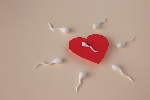 Free photo spermatozoa and red heart high angle