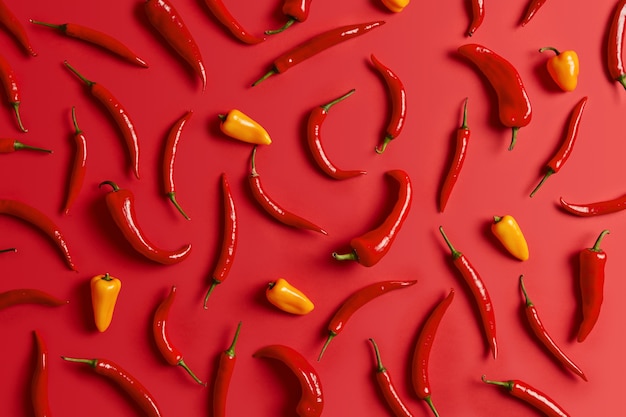 Spice food background. Chili and yellow paprika isolated on bright red background. Cooking ingredients and seasoning. Top view or trendy flat shot. Collected herbs from garden. Set of peppers