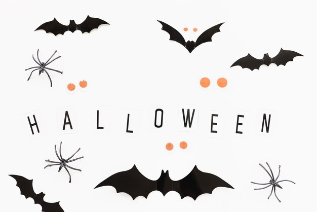 Spiders bats and text halloween on white halloween background flat layout holiday concept