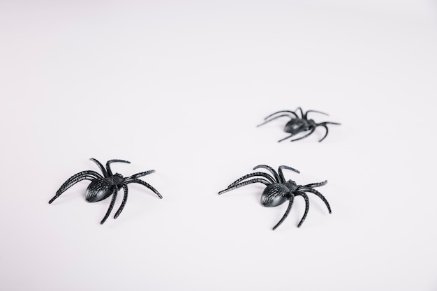 Spiders crawling away on white background