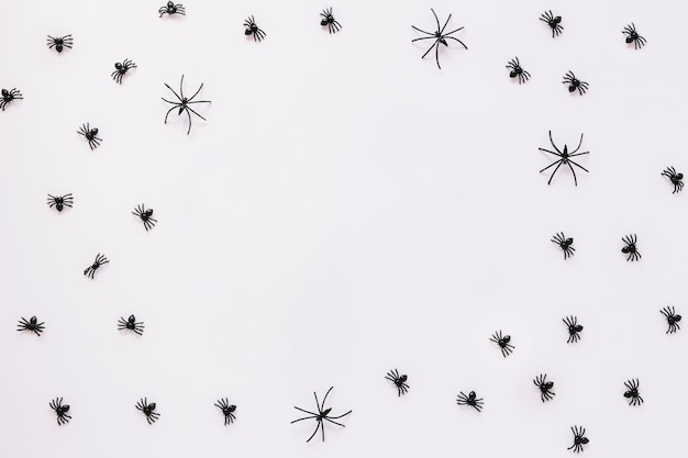 Spiders crawling on white background 