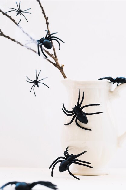 Spiders on jug and branch