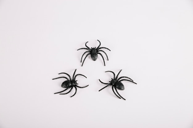 Free photo spiders lying on white background