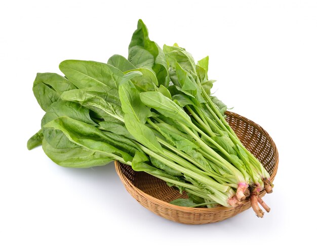 Premium Photo | Spinach leaves isolated on white isolated