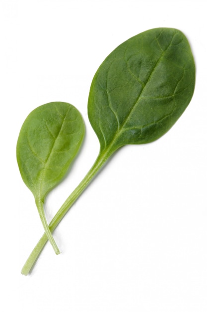 Spinach on the table