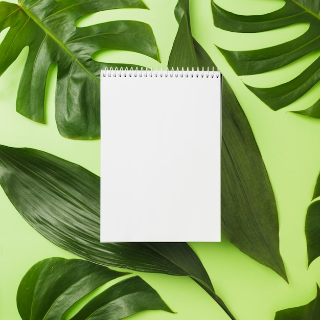 Spiral notepad over green leaves on background