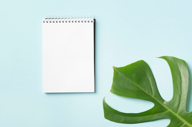 Free photo spiral notepad and green monstera leaf on blue background