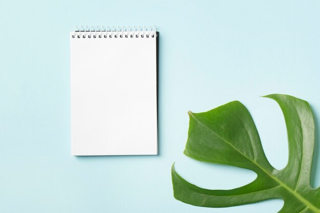 spiral notepad and green monstera leaf on blue background