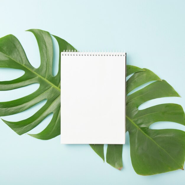 spiral notepad over the green monstera leaves on blue background