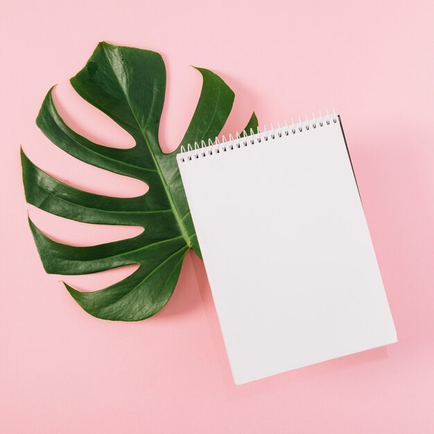 Spiral notepad over the monstera leaf on pink background