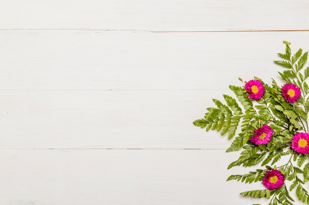 Splendid pink flowers and green leaves on white surface