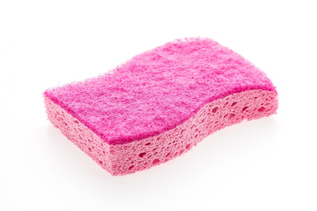 Sponge dish