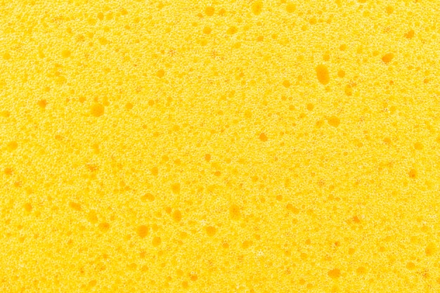 Free photo sponge textures for background