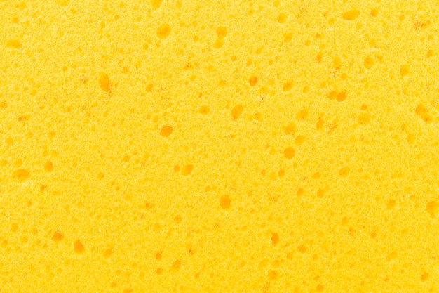 Free photo sponge textures for background