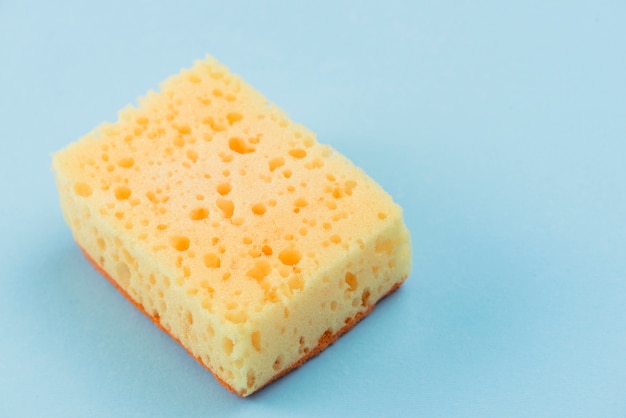 Sponge