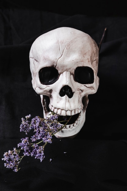 Spooky cranium with dry flowers