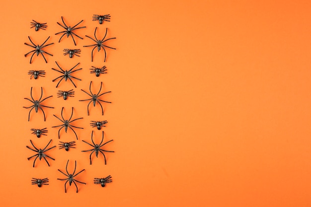 Spooky group of spiders