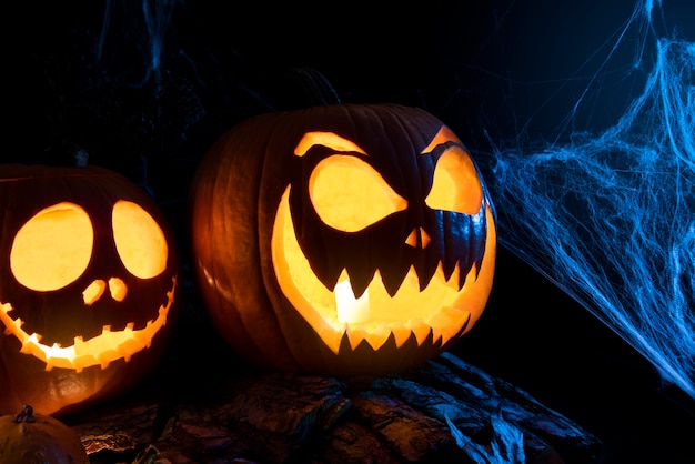 Spooky halloween pumpkins with spiderweb