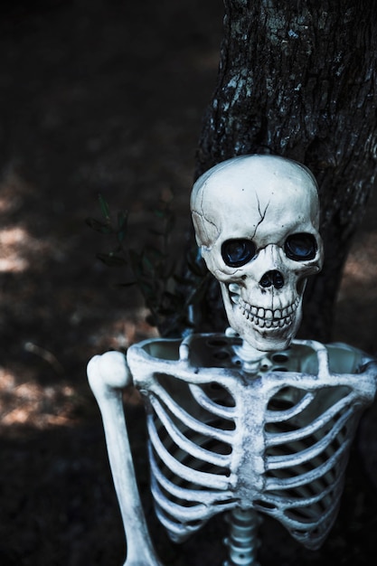 Призрачный игрушечный скелет в лесу