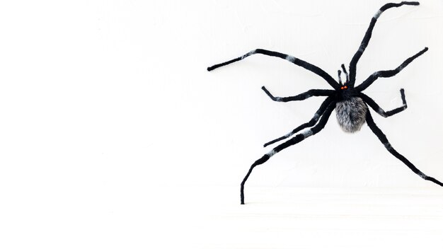 Spooky toy spider for Halloween