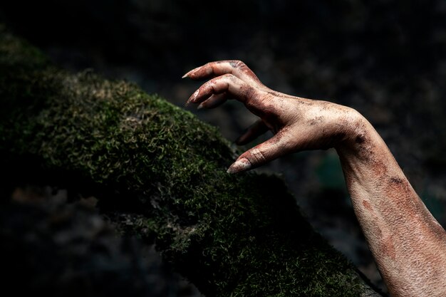 Spooky zombie hand in nature