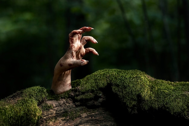 Spooky zombie hand in nature