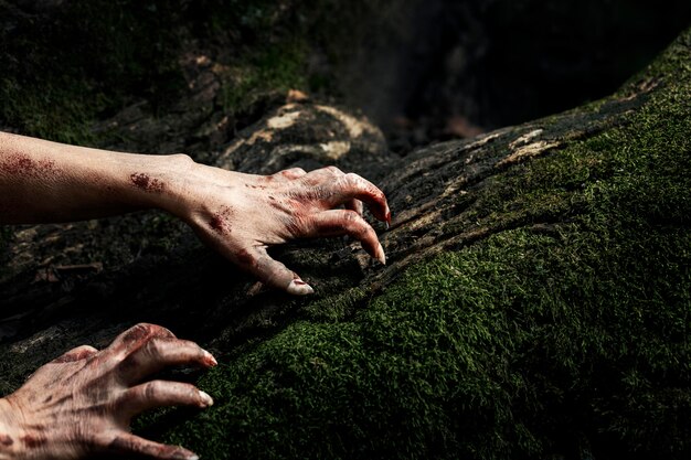 Spooky zombie hands in nature