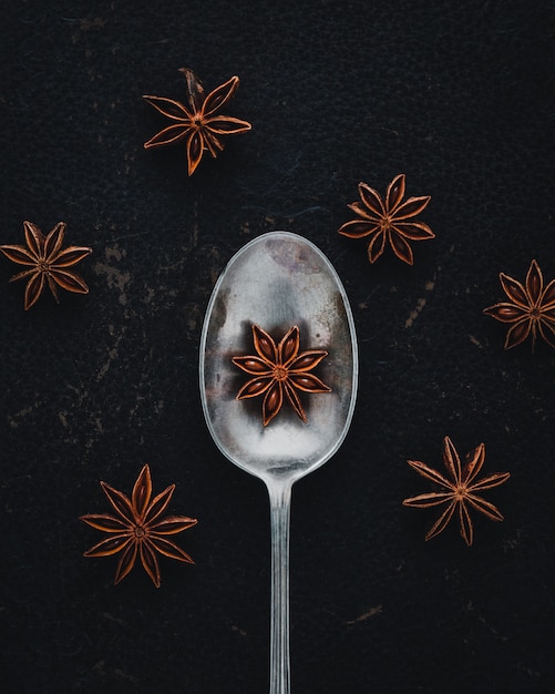 Spoon with anise spice