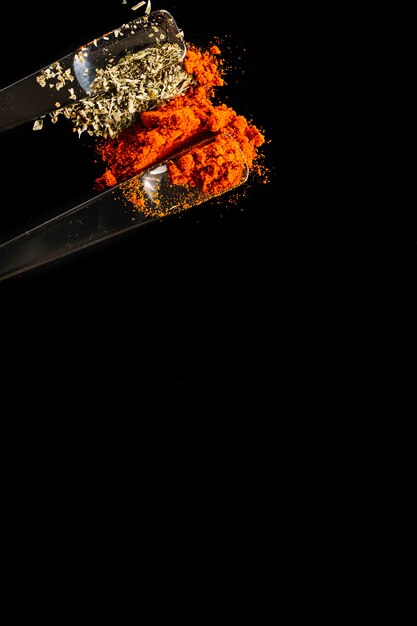 Spoons with paprika and dill seeds