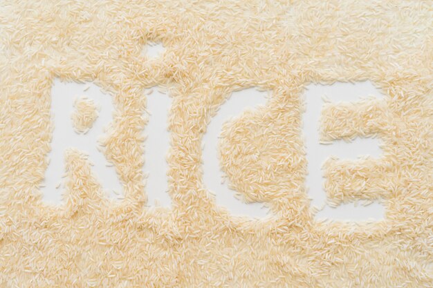 白い背景の上の米の単語テキストと米を広める