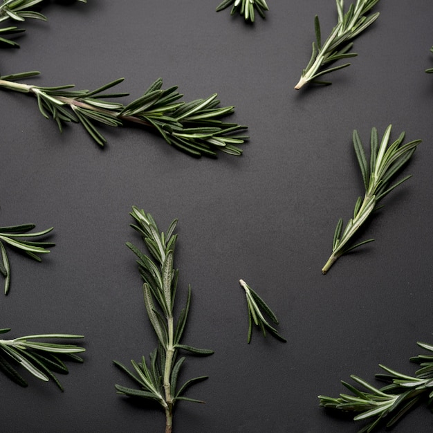 Free photo sprig of rosemary spread on black background