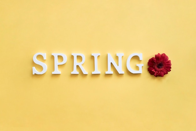 Spring background with letters
