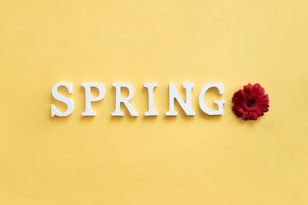 手紙と春の背景