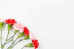 Free photo spring background with roses