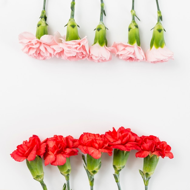 Free photo spring background with roses