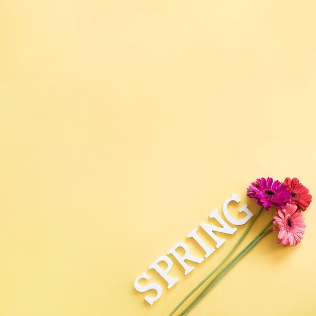 Free photo spring background