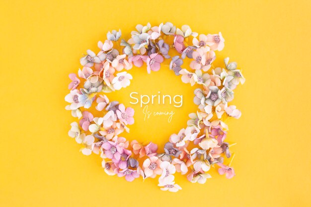 Spring banner with daisies on a yellow background