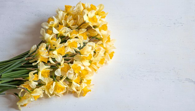 Spring blooms, yellow daffodils on a light wooden background. Back background.