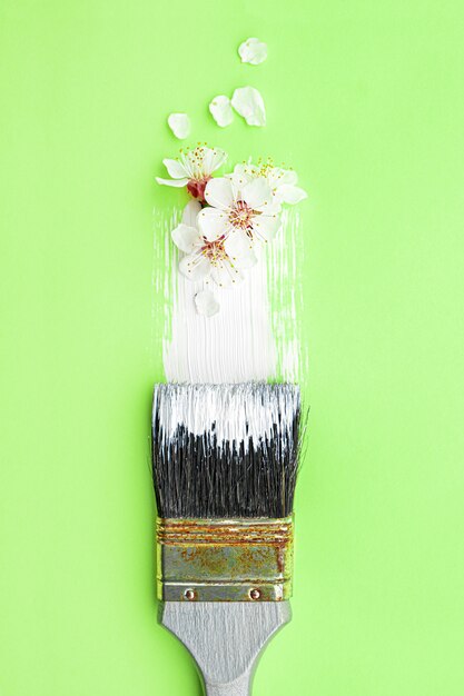 Spring blossom concept. Paint brush with apricot blossom flower on green background.