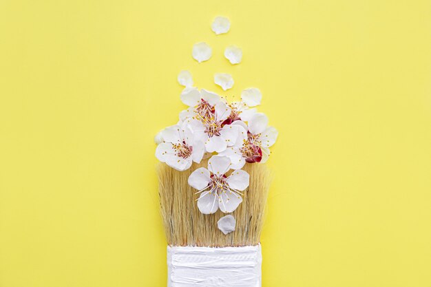 Spring blossom concept. Paint brush with apricot blossom flower on yellow background.