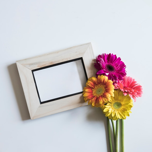 Spring concept with flowers on frame
