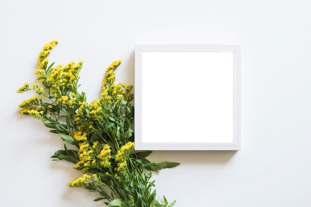 Spring concept with frame and wildflowers