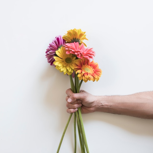 Spring concept with hand holding flowers