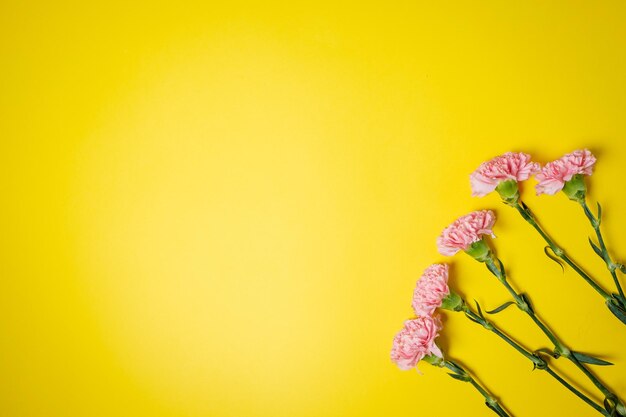 春フラットは、黄色のテーブルにピンクのカーネーションの花を背景に置いたテキストのトップビュースペース
