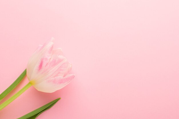 Copyspaceと大理石の背景にピンクと白の花の花束 プレミアム写真 Copyspaceと大理石の背景にピンクと白の花の花束 プレミアム写真